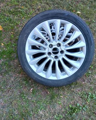 Gomme estive 500x