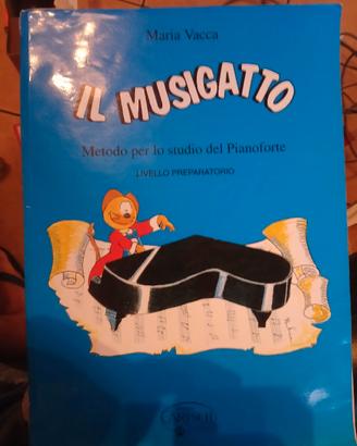 Il musigatto