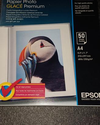 EPSON PAPER PHOTO