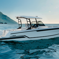 Wellcraft 28 T-Top e Explorer PROVE IN MARE