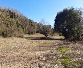 Campo scout Offida Rio Lava