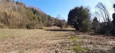 Campo scout Offida Rio Lava