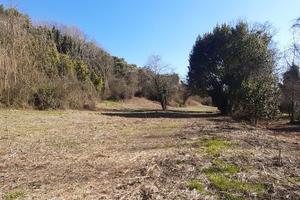 Campo scout Offida Rio Lava