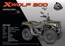 loncin-xwolf-300-novita-2025