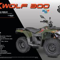 Loncin XWolf 300 - Novità 2025