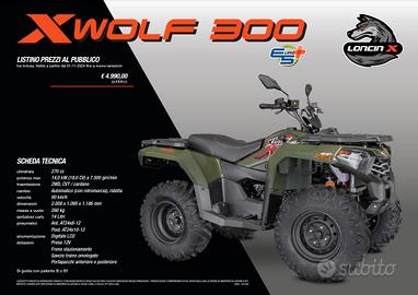 Loncin XWolf 300 - Novità 2025