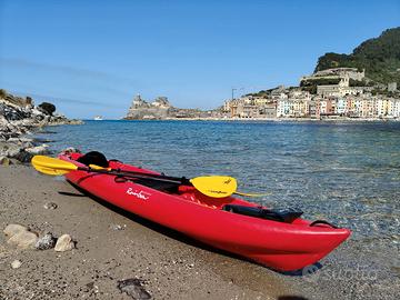 Canoa Kayak Rainbow Orca Expedition