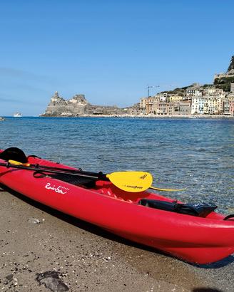 Canoa Kayak Rainbow Orca Expedition