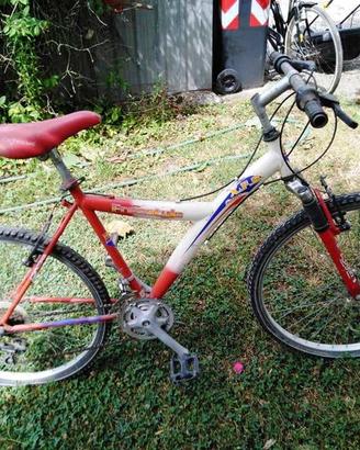 Mountain bike Logan