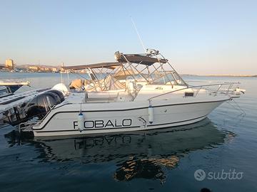 Robalo 2440