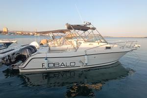 Robalo 2440