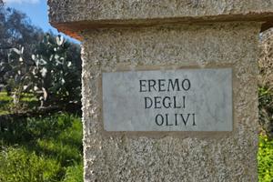 Tenuta con circa 10 ettari di terreno