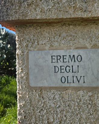 Tenuta con circa 10 ettari di terreno