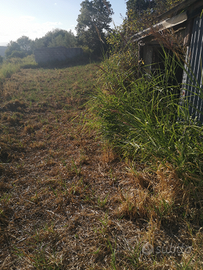 Terreno agricolo pianeggiante
