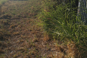 Terreno agricolo pianeggiante