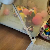 Box pieghevole per bambini