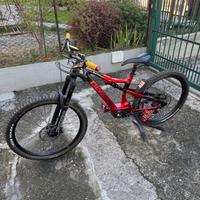 MTB E-BIKE OLYMPIA EX 900 SPORT