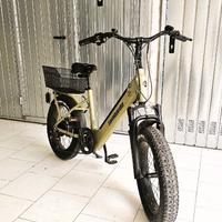 bicicletta elettrica