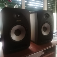 Casse TANNOY coppia 802