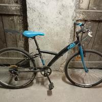 bici ruota 24