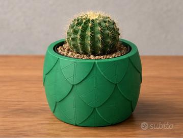 Vaso di design per piante grasse o finte