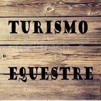 Cavalli da passeggiata