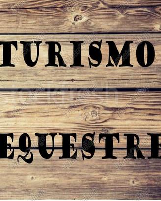 Cavalli da passeggiata