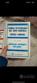 Clinica veterinaria del nord america 