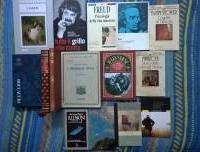 lotto 23 libri classici della letteratura +2 saggi