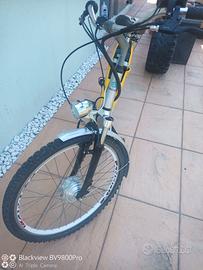 Piaggio Albatros bicicletta elettrica