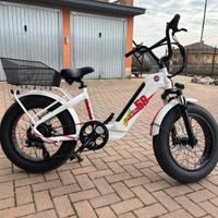 Bicicletta elettrica Garelli