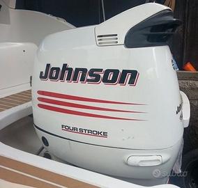 kit adesivi motore fuoribordo johnson 90 115 150