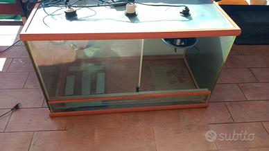 teca per rettili 
