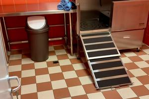 Attività di Toelettatura & Self Service