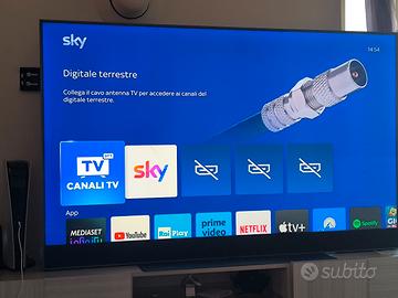 tvskyglass 65"
