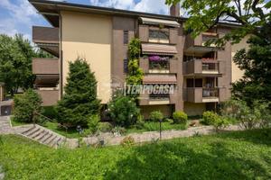 TRILOCALE CON BOX A GORGONZOLA - LIBERO SUBITO!