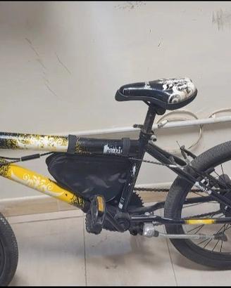 bicicletta 