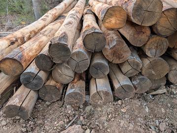 pali in legno di castagno robusti