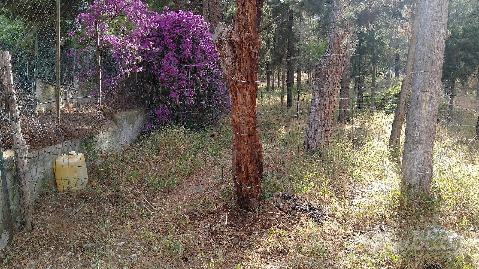 Terreno a Palermo - Vista 2