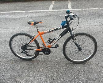 Bici Faram