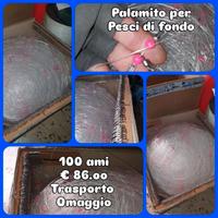 palamito per pesce di fondo