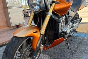 Hornet 600