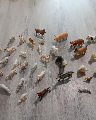 Animali fattoria