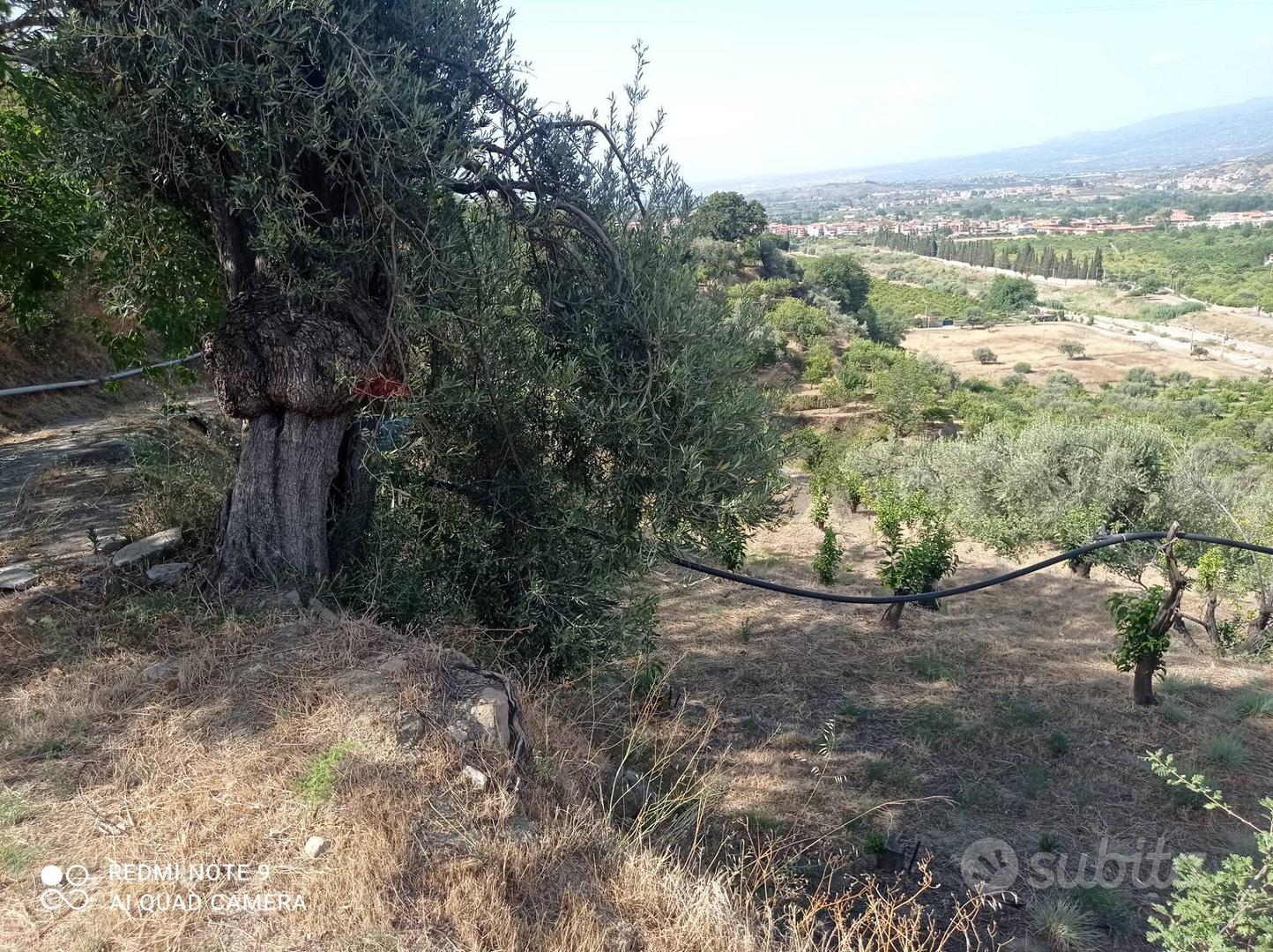 Terreno - Taormina - Vista 2