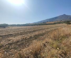 Terreno agricolo e casa rustica