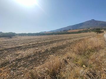 Terreno agricolo e casa rustica