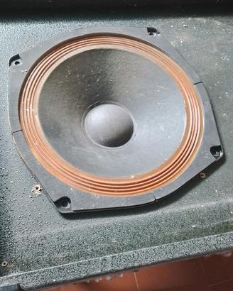 woofer LEM da 30cm singolo da 8 ohm anche altri