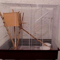 Gabbia per scoiattoli