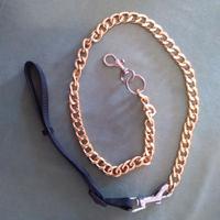 Guinzaglio per cani o gatti