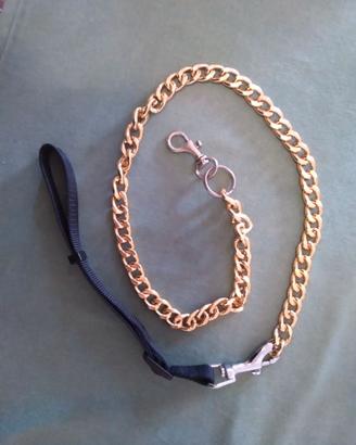 Guinzaglio per cani o gatti